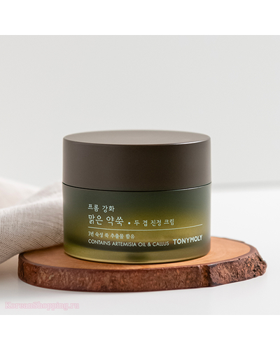 TONYMOLY From Clear Artemisia 2 Layer Calming Cream