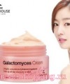 The Skin House Face Calming Galactomyces Cream