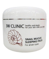 3W CLINIC Snail Mucus Sleeping Pack