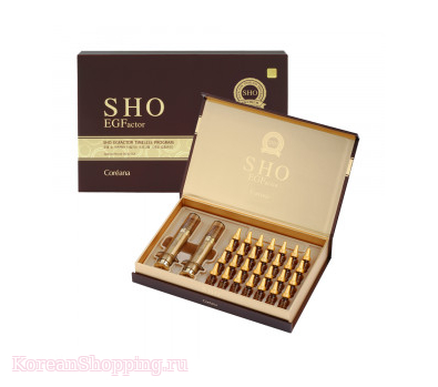 RODIN SHO Recevery Timeless Program