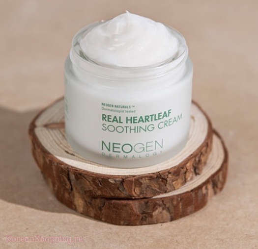 NEOGEN Dermalogy Real Heartleaf Soothing Cream