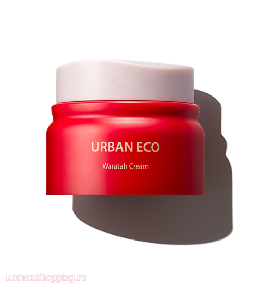 The Saem Urban Eco Waratah Cream