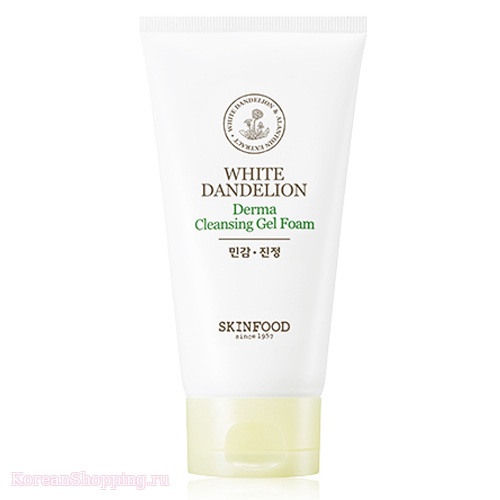 SKINFOOD Dandelion Derma Cleansing Gel Foam