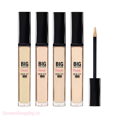 ETUDE HOUSE Big Cover Skin Fit Concealer Pro