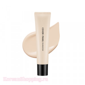 APIEU Cover Pang Foundation