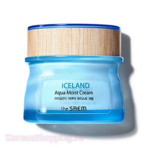 THE SAEM Iceland Aqua Moist Cream
