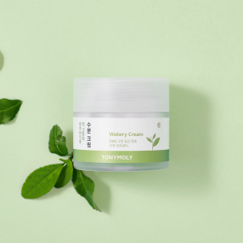 TONYMOLY The Green Tea True Biome Watery Cream